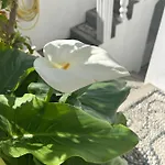 New 45 Renovated Apartment