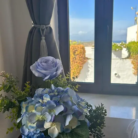 New 45 Renovated Lägenhet *