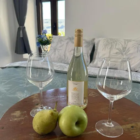 New 45 Renovated Appartamento